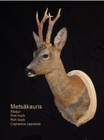 Kevtpukki